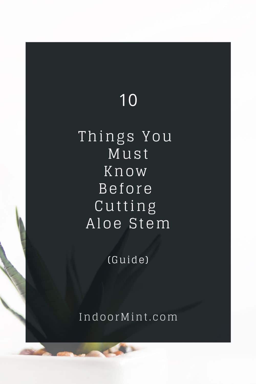 aloe stem cutting cover image